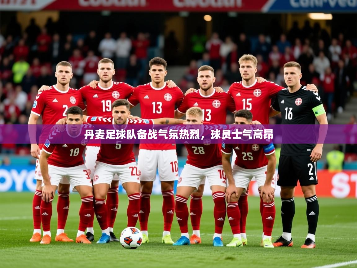 丹麦足球队备战气氛热烈,球员士气高昂 丹麦足球队备战气氛热烈,球员士气高昂