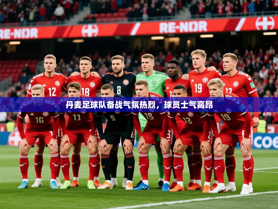 丹麦足球队备战气氛热烈,球员士气高昂 丹麦足球队备战气氛热烈,球员士气高昂