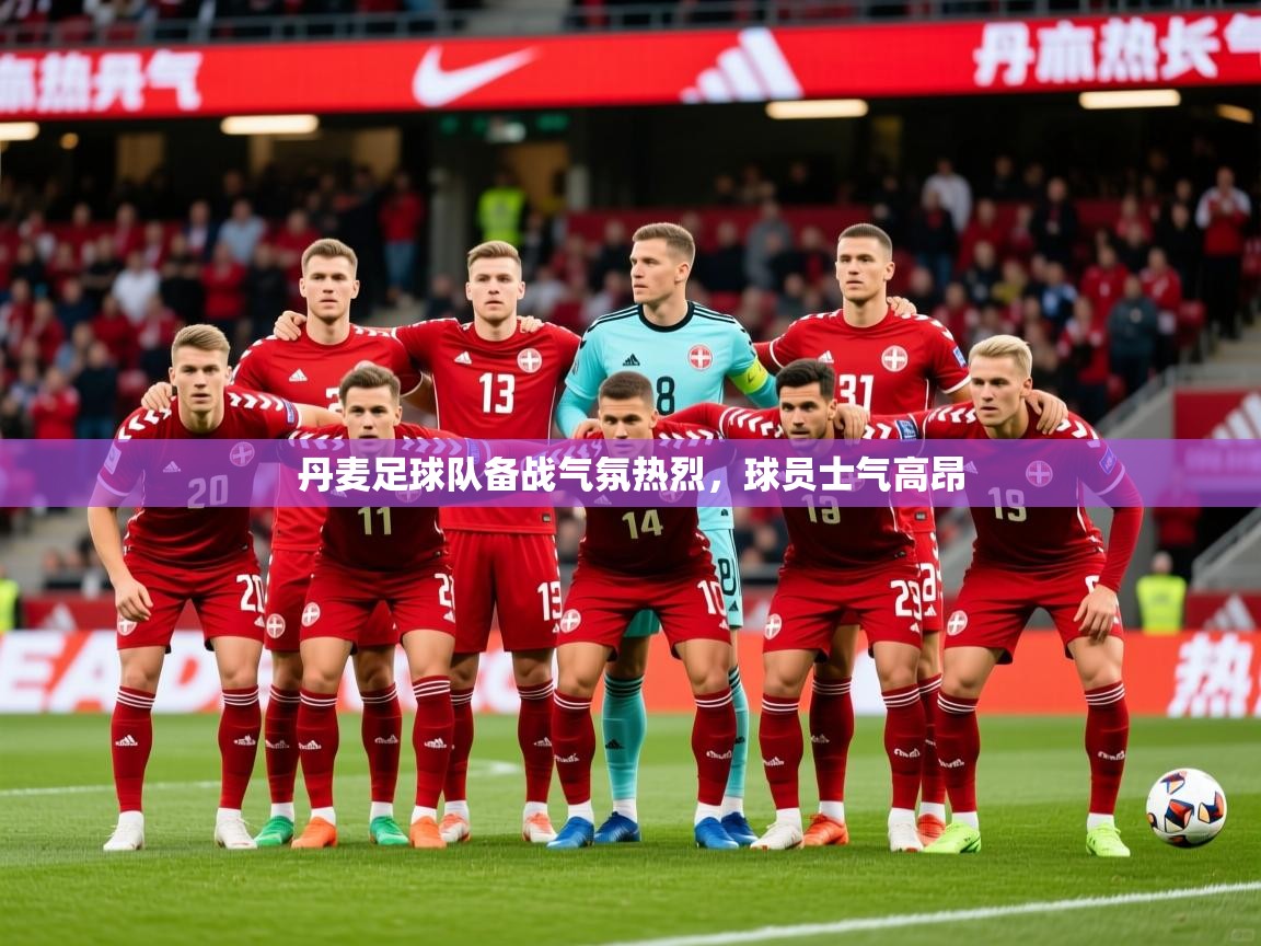 丹麦足球队备战气氛热烈,球员士气高昂 丹麦足球队备战气氛热烈,球员士气高昂